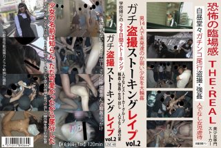 [Reducing] LOVE-049 Damn Voyeur Stalking Re Vol.2